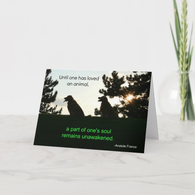 Tarjeta de simpatía de Mascota Golden Retriever (Anverso)