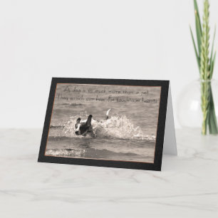 Tarjeta de simpatía de perro mascota - Toque nuest