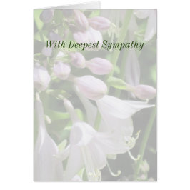 Tarjeta de simpatía de plantilla pacífica