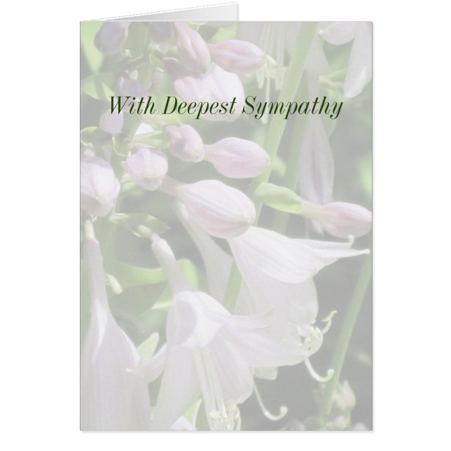 Tarjeta de simpatía de plantilla pacífica (Frente)