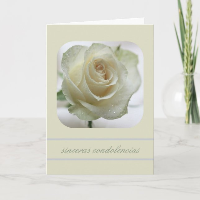 tarjeta de simpatía de rosa blanco, español (Anverso)