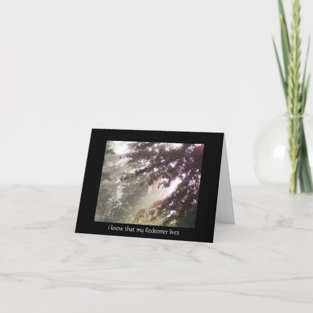 Tarjeta de simpatía del árbol de ciruela a través  (Anverso)