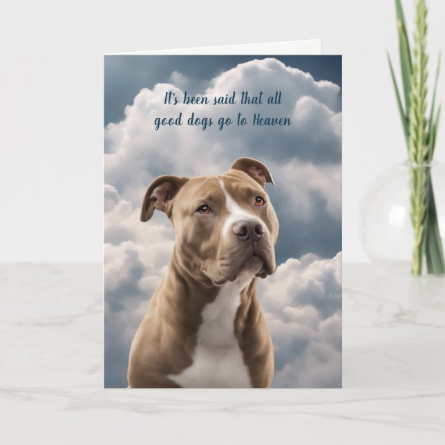 Tarjeta de simpatía del cielo de Pitbull (Anverso)