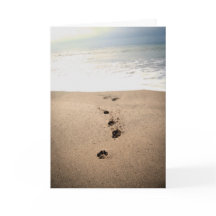 Tarjeta de simpatía del perro