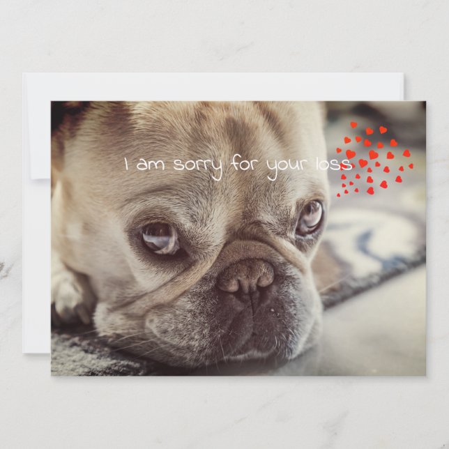 Tarjeta de simpatía del perro (Anverso)
