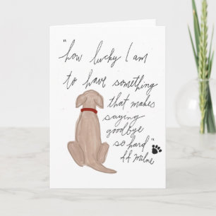 Tarjeta de simpatía del perro, pérdida del Mascota