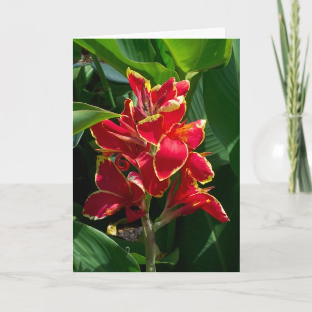 Tarjeta de simpatía floral (Anverso)