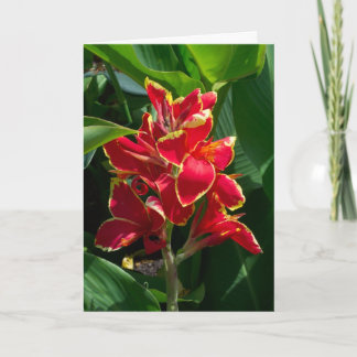 Tarjeta de simpatía floral