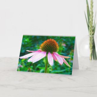 Tarjeta de simpatía floral de Petales rosados