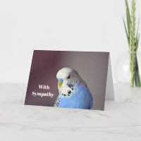 Tarjeta de simpatía fotográfica de bonito Blue Bud