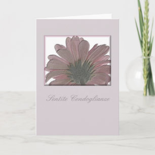 tarjeta de simpatía gerbera rosa italiana