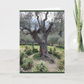 Tarjeta de simpatía Gethsemane