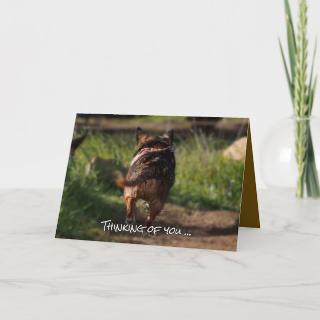 Tarjeta de simpatía - mascota (Anverso)