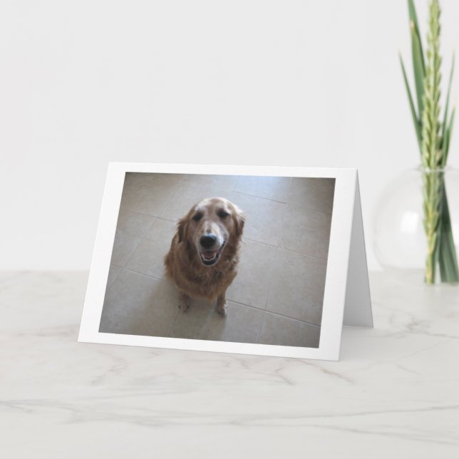 Tarjeta de simpatía mascota (Anverso)