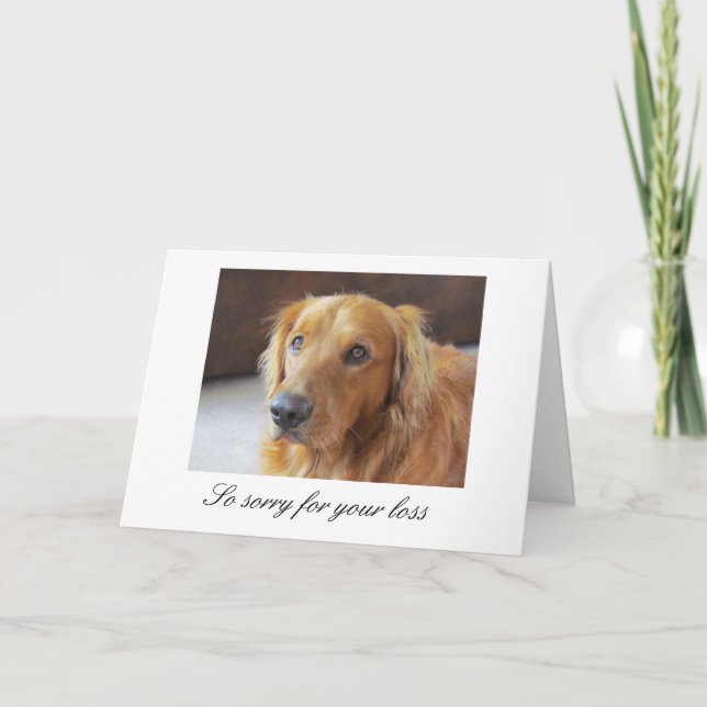 Tarjeta de simpatía mascota con Golden Retriever (Anverso)
