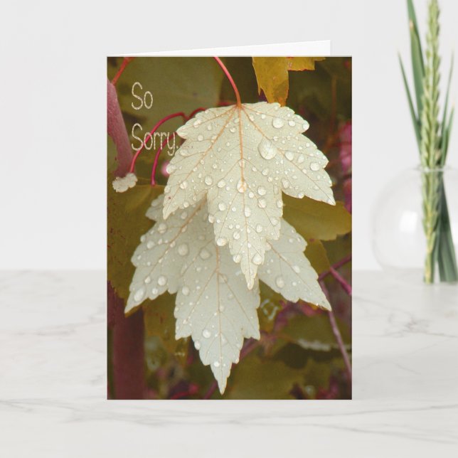 Tarjeta de simpatía mascota por pérdida de perro (Anverso)