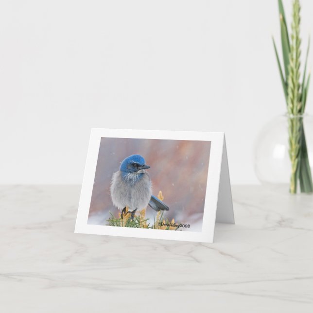 Tarjeta de simpatía para aves (Anverso)