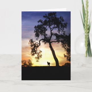 Tarjeta de simpatía para caballos