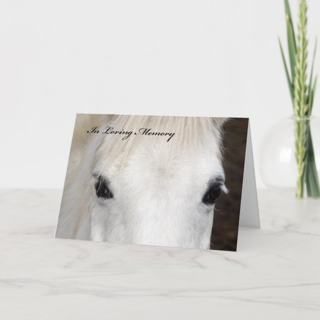 Tarjeta de simpatía para caballos (Anverso)