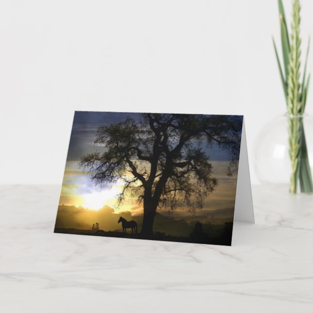 Tarjeta de simpatía para caballos (Anverso)