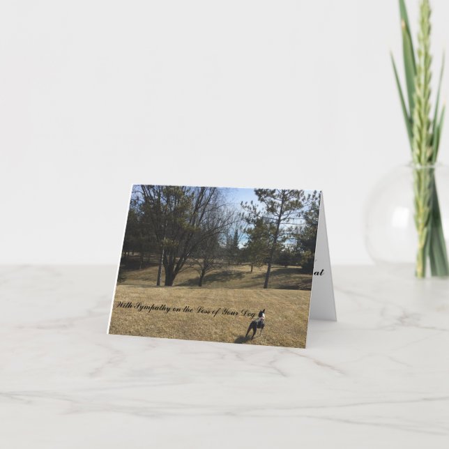 Tarjeta de simpatía para el mascota de perro Bosto (Anverso)