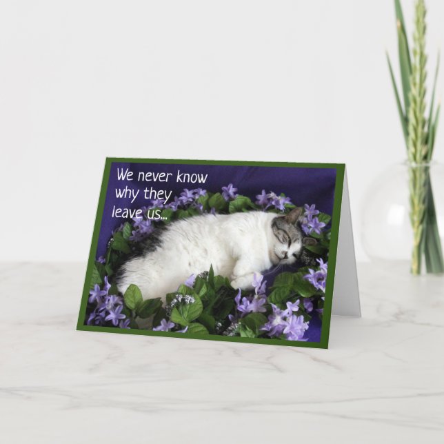 Tarjeta de simpatía para gato (Anverso)