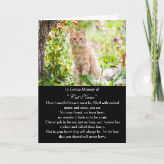 Tarjeta de simpatía para gato con foto personaliza