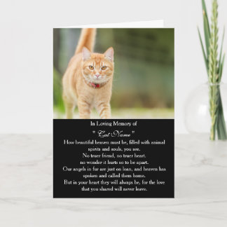 Tarjeta de simpatía para gato con foto personaliza