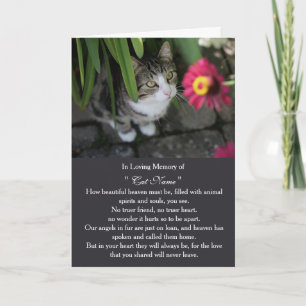 Tarjeta de simpatía para gato con foto personaliza