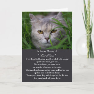 Tarjeta de simpatía para gato con foto personaliza
