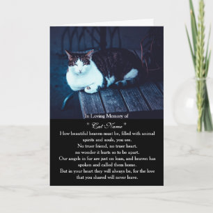 Tarjeta de simpatía para gato con foto personaliza