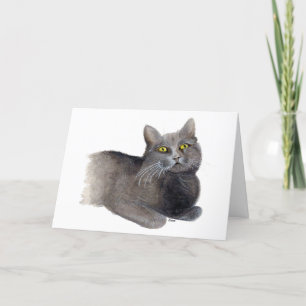 Tarjeta de simpatía para gato gris