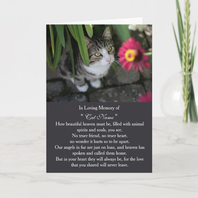 Tarjeta de simpatía para gato personalizada con fo (Anverso)