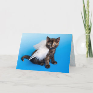 Tarjeta de simpatía para gatos