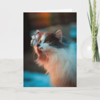 Tarjeta de simpatía para gatos