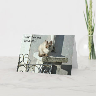 Tarjeta de simpatía para gatos con gato gris y bla