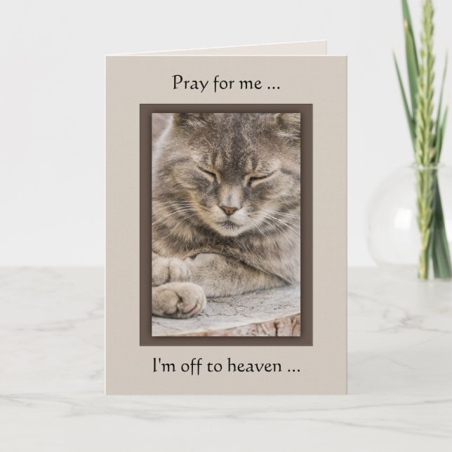 Tarjeta de simpatía para gatos de foto personaliza (Anverso)