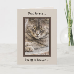Tarjeta de simpatía para gatos de foto personaliza
