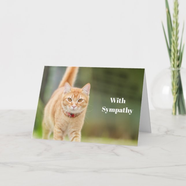 Tarjeta de simpatía para gatos personalizada Memor (Anverso)