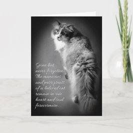 Tarjeta de simpatía para la pérdida de gatos