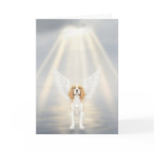 Tarjeta de simpatía para mascotas Siempre recordad
