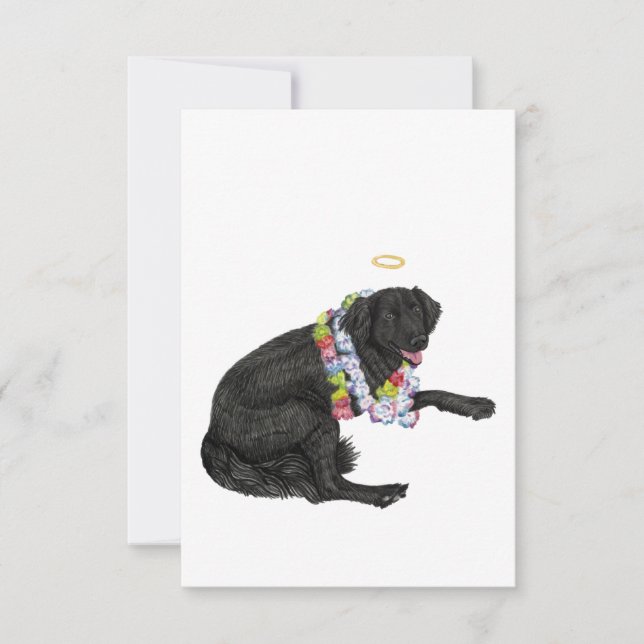 Tarjeta de simpatía para perros arco iris (Anverso)