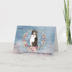 Tarjeta de simpatía para perros de montaña de Bern