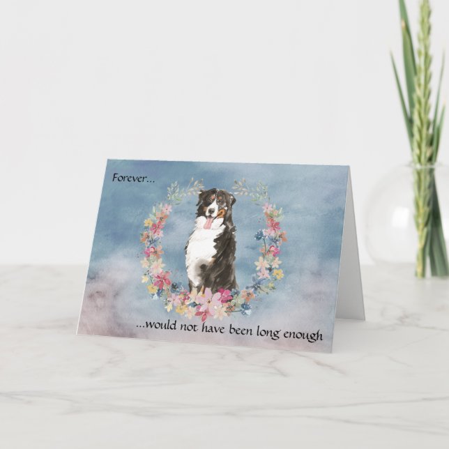 Tarjeta de simpatía para perros de montaña de Bern (Anverso)