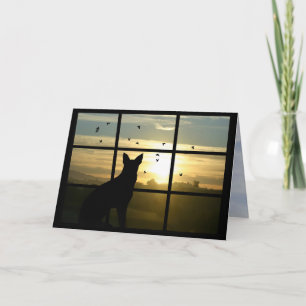 Tarjeta de simpatía para perros en la ventana