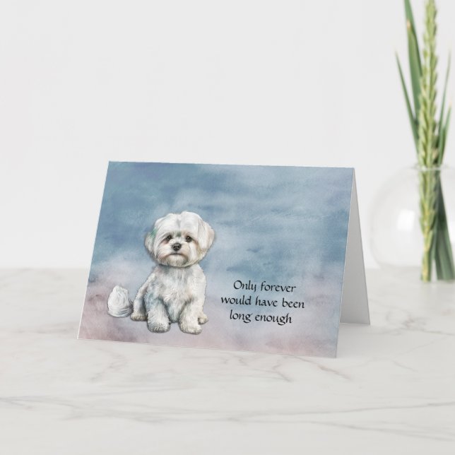 Tarjeta de simpatía para perros malteses blancos (Anverso)