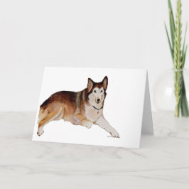 Tarjeta de simpatía para perros Mascotas