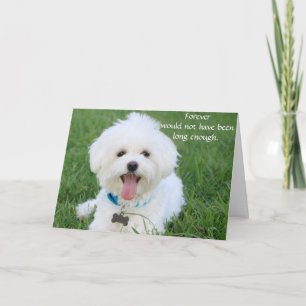 Tarjeta de simpatía para perros por pérdida con fo