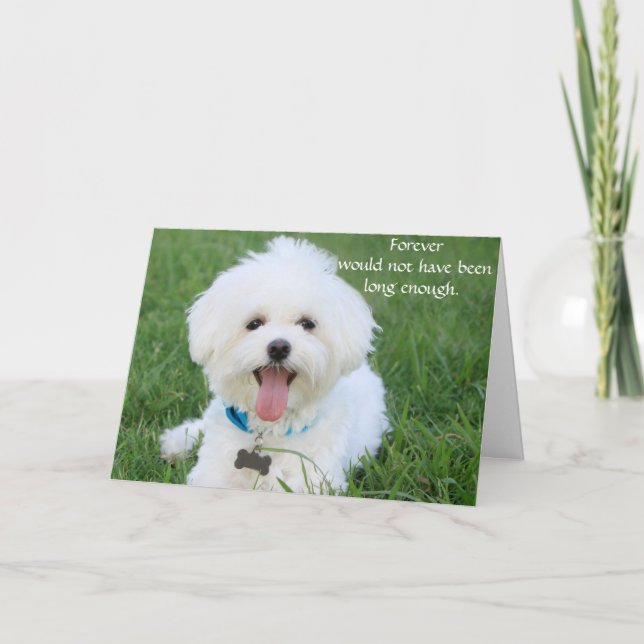 Tarjeta de simpatía para perros por pérdida con fo (Anverso)