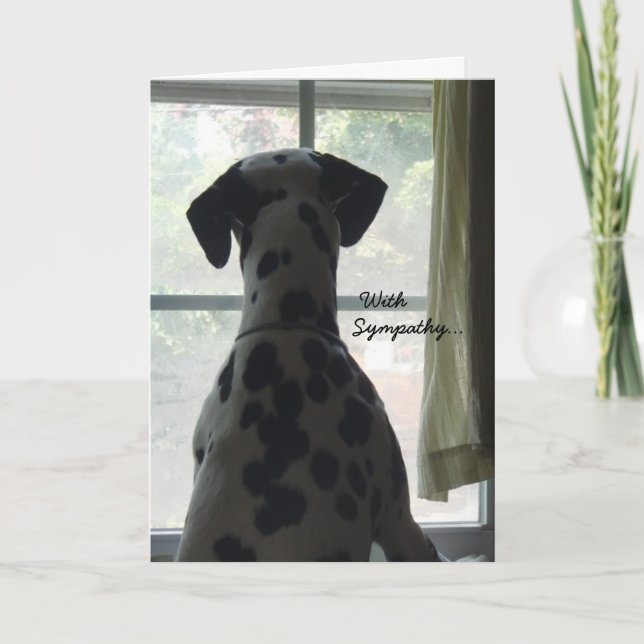 Tarjeta de simpatía - Pérdida de perro (Anverso)